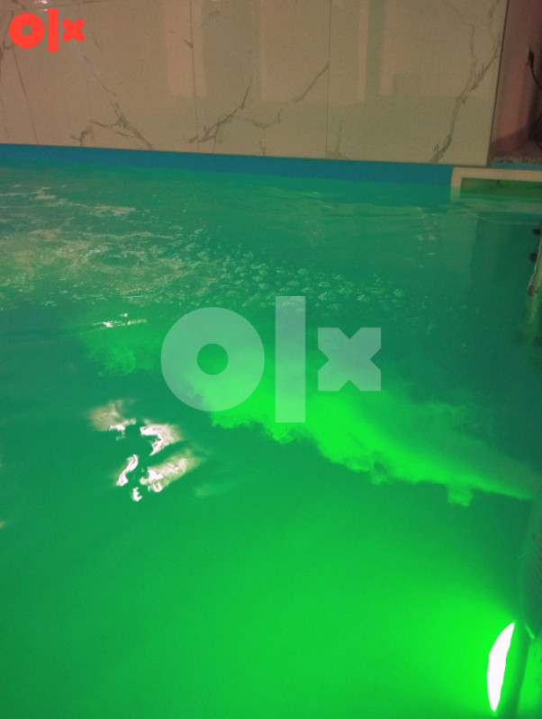 KUĆA ZA ODMOR AQUA VET VELIKA KLADUŠA 3