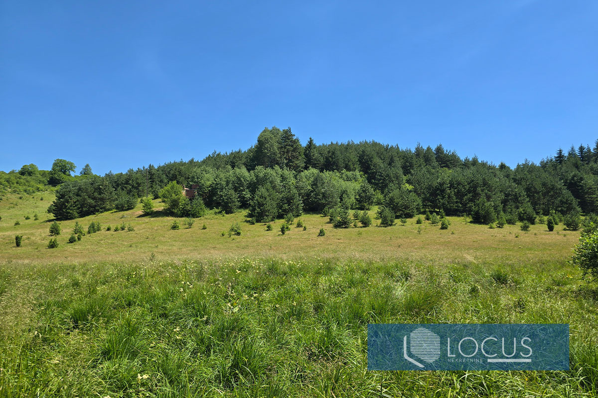 LOCUS: Zemljišna parcela 64.169m2, Lađevići, Nišići 2