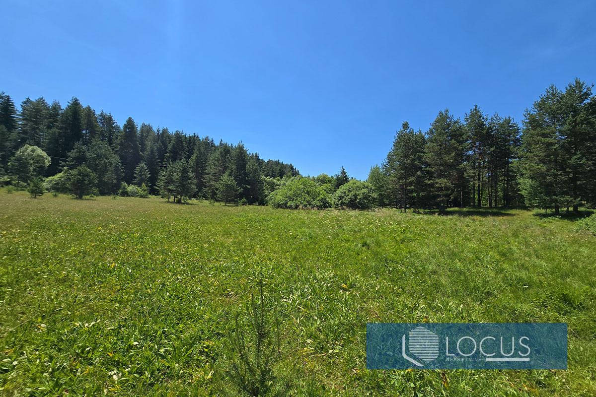 LOCUS: Zemljišna parcela 64.169m2, Lađevići, Nišići 3