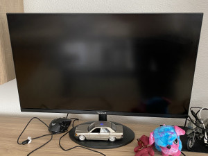 Monitor Tesla