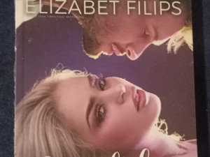 Sve za ljubav Suzan Elizabet Filips novo