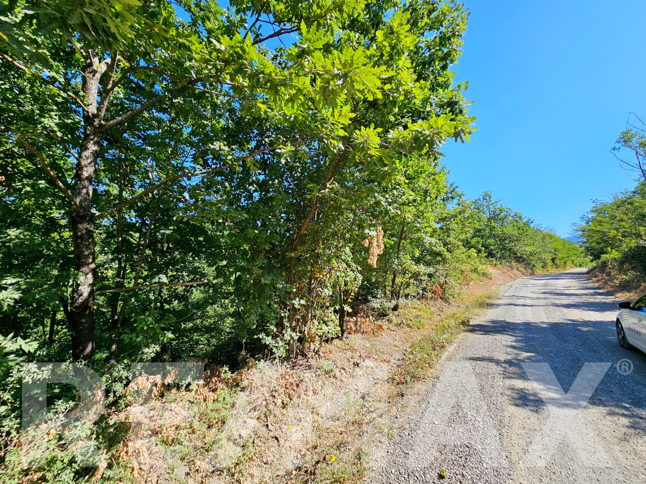 Zemljište 12860m2 - Gornja Lamovita 2