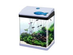 Akvarijum 30l
