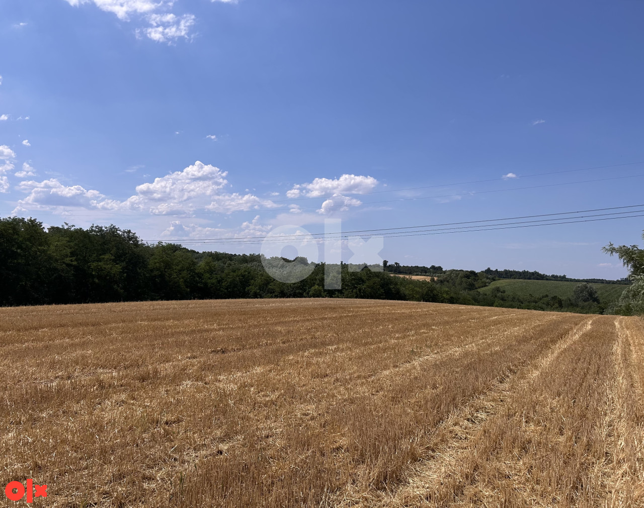 Zemljiste Brijesnica 6.5 4.5 i 4 dunuma 3