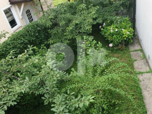 ZLOKOVAC-ATRAKTIVNA LOKACIJA KUĆA SA TRI STANA-čitaj detaljno- photo 3