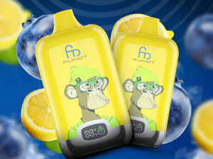 Fumot - Vape/Vejp - 12k Puffs - Berry Lemonade