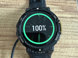 Amazfit T Rex 2 smartwatch