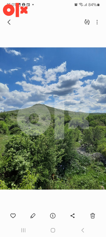 ALMENA/ Ljubinje-Risnik/Prodaja 817 duluma 2