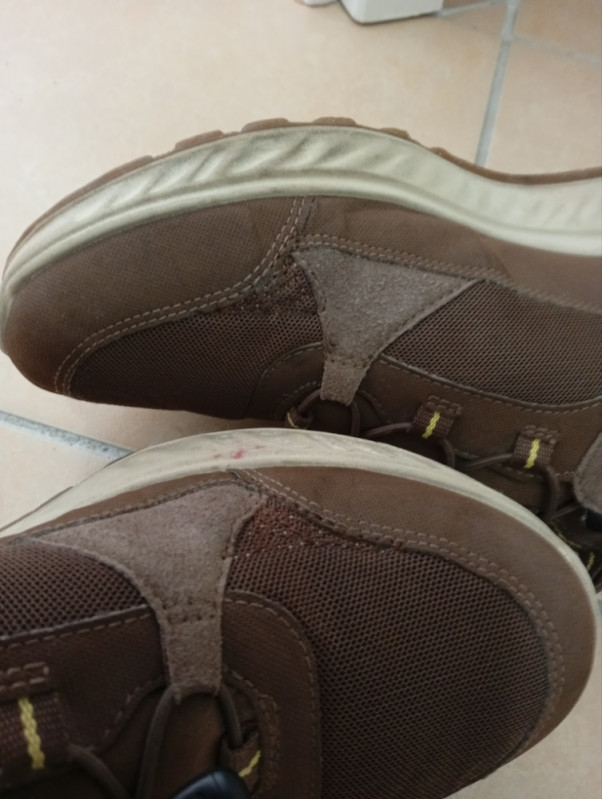 ECCO Gore Tex patike br 42