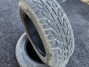 Gume zimske tigar 195 65 15 2kom 7mm sara