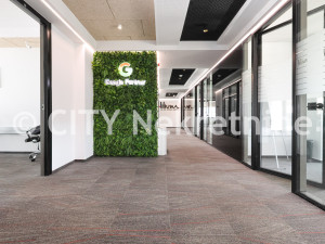 Poslovni prostor - Novi grad - Otoka - Veneto - 316 m2