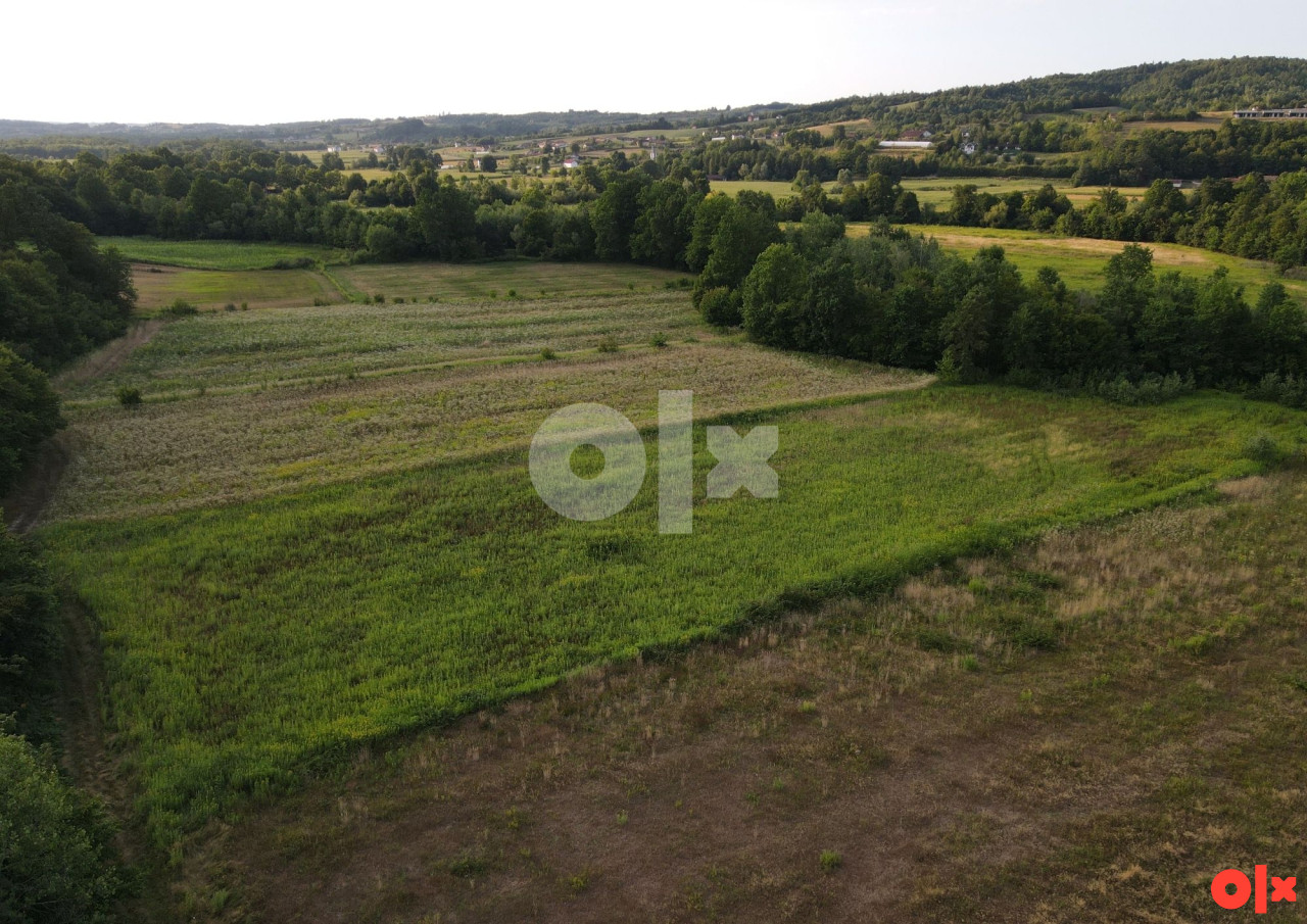 ZEMLJIŠTE - KADINJANI - 12.578 m2 (Opština Laktaši) 2