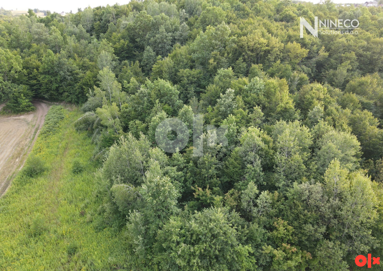 ZEMLJIŠTE - KADINJANI - 12.578 m2 (Opština Laktaši) 6