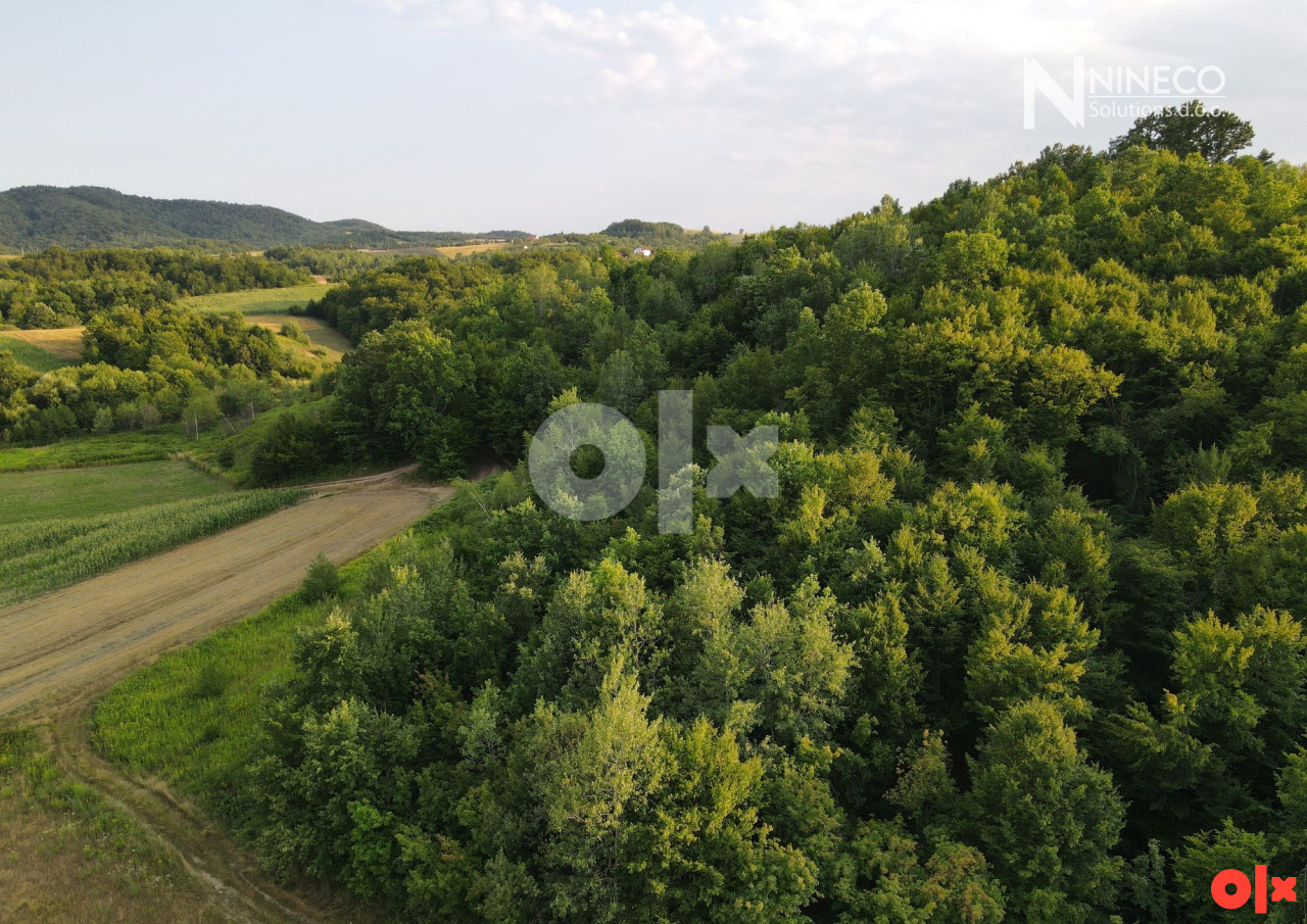 ZEMLJIŠTE - KADINJANI - 12.578 m2 (Opština Laktaši) 7