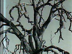 Jurij Andruhovič, Andrzej Stasiuk - Moja Europa