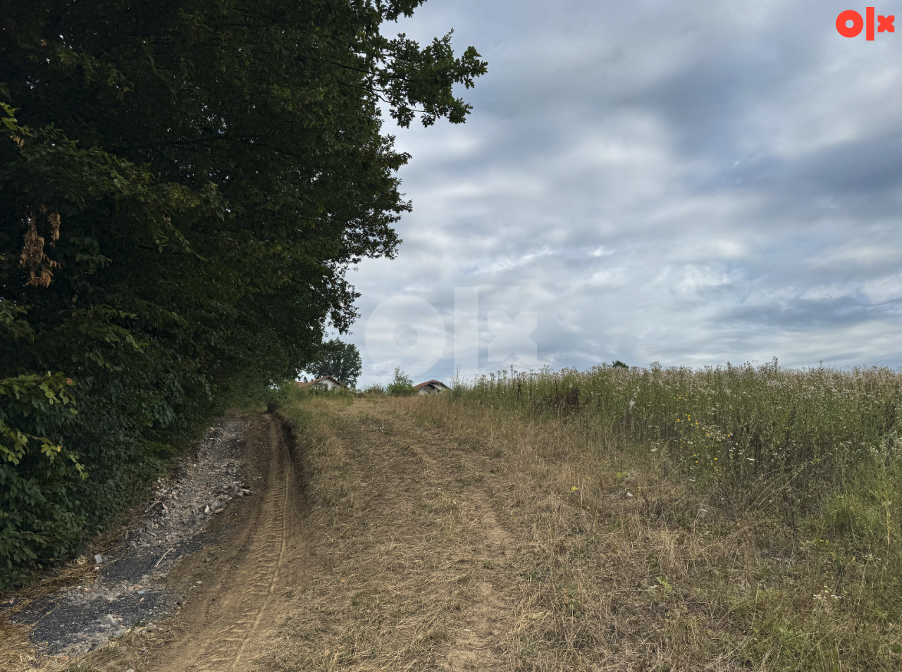 Zemljište Tešanj-Jelah- Novi Miljanovci, 5000m2 3