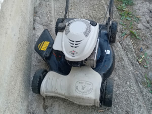 Kosacica sa vućom