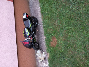 POCKET BIKE --  130 KM