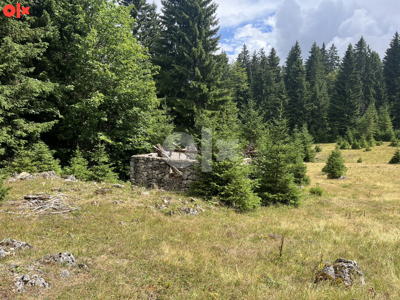 Zemljište sa šumom GALICA Vlašić 21000 m2 3
