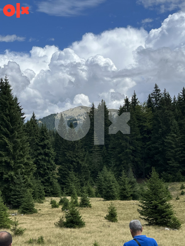 Zemljište sa šumom GALICA Vlašić 21000 m2 2