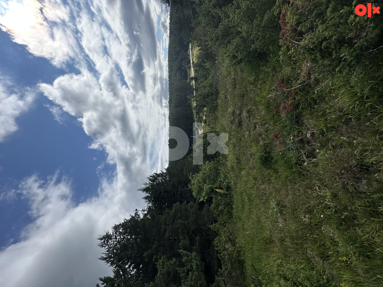 Zemljiste Ravna Romanija (prodaja placeva 500m2 i vise) 7