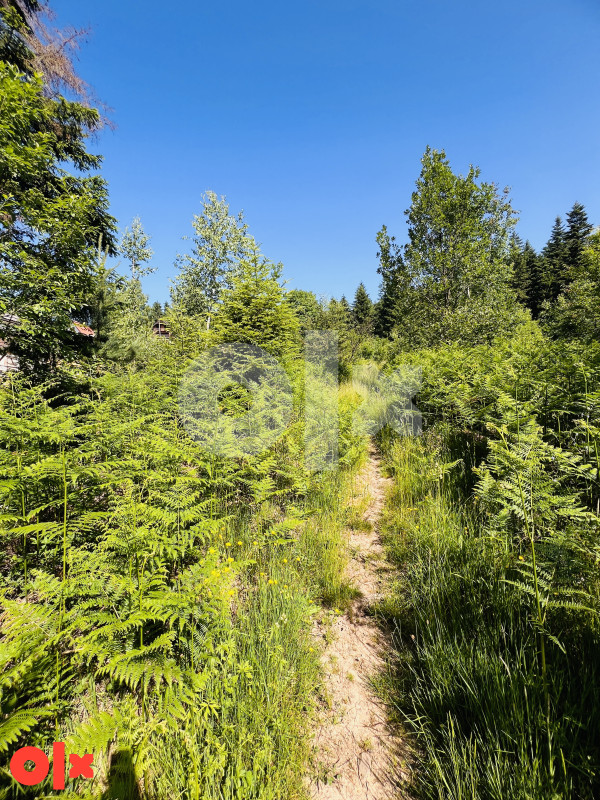 Zemljište Donji Pribanj, Pale 1000m2 2