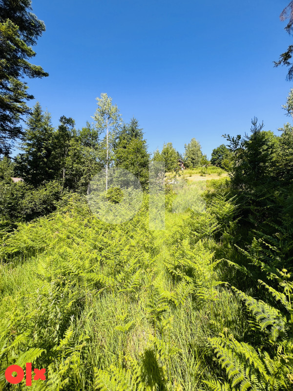 Zemljište Donji Pribanj, Pale 1000m2 3