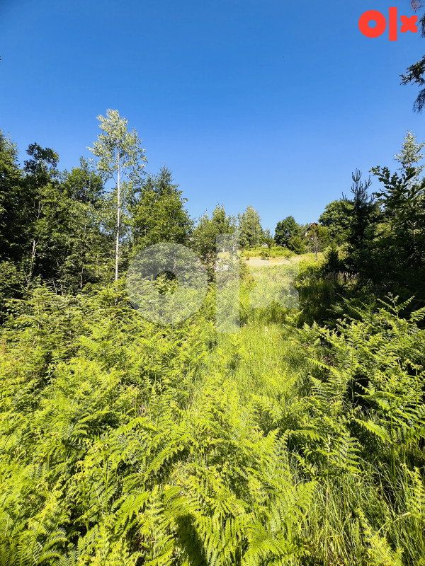 Zemljište Donji Pribanj, Pale 1000m2 4