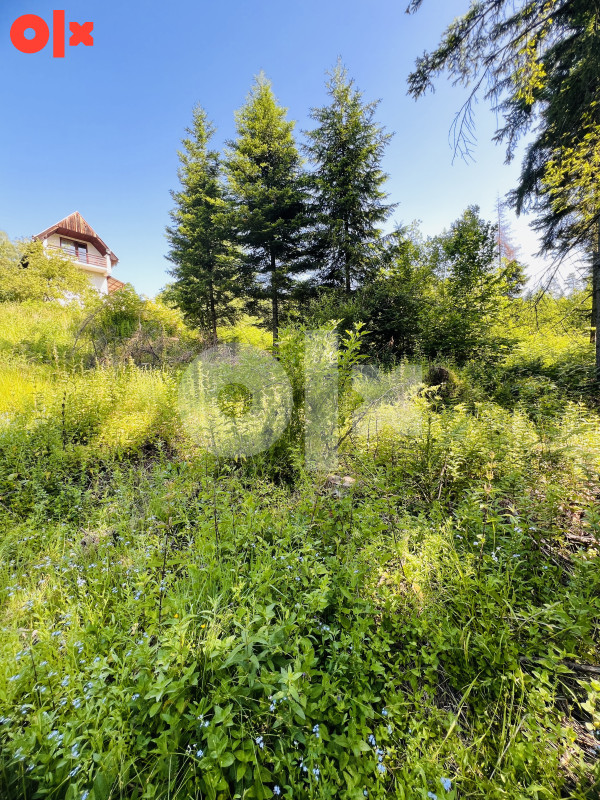 Zemljište Donji Pribanj, Pale 1000m2 8