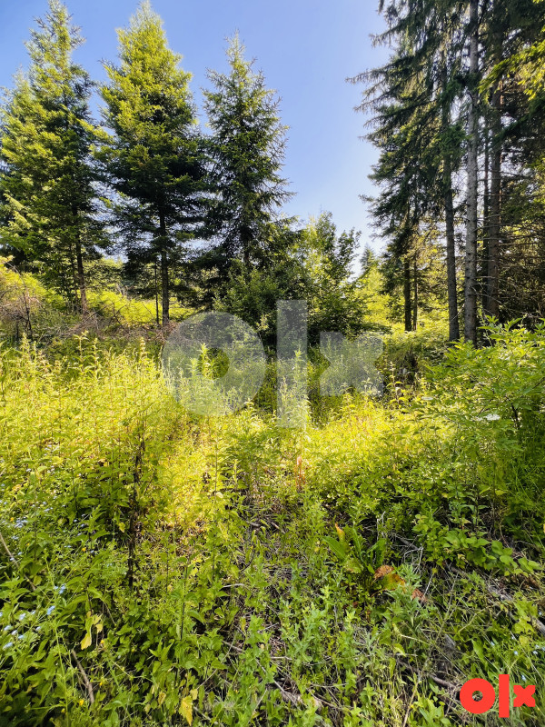 Zemljište Donji Pribanj, Pale 1000m2 9