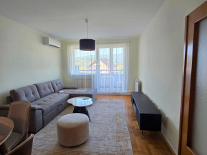 Dvosoban Stan Spasovdanska 53m2 Najam