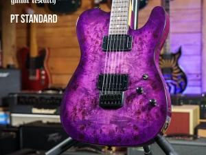 Schecter PT STANDARD Purple Burst Burl gitara