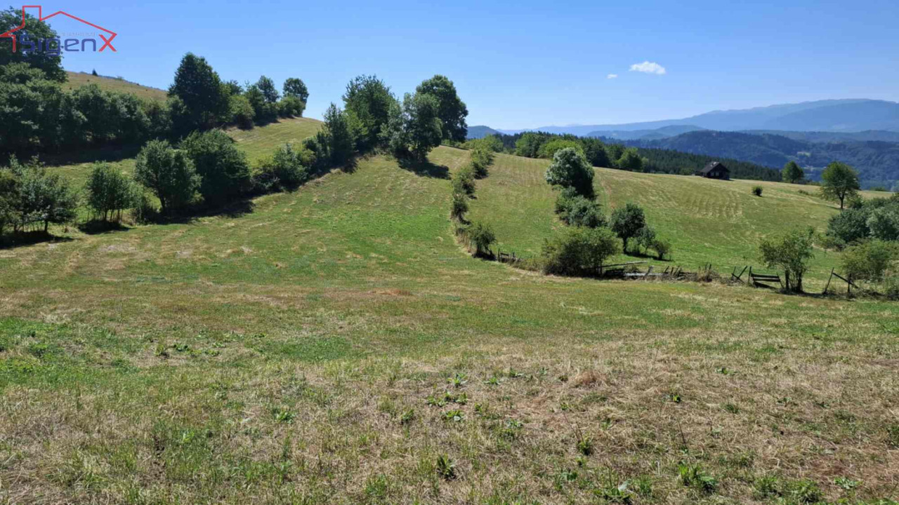 Sigenx prodaje zemljište/Stari Grad/Gornje Biosko/16000 m2 7
