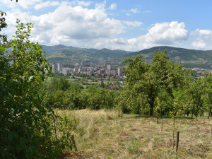 Zemljište u Ričicama - naselje Šankara