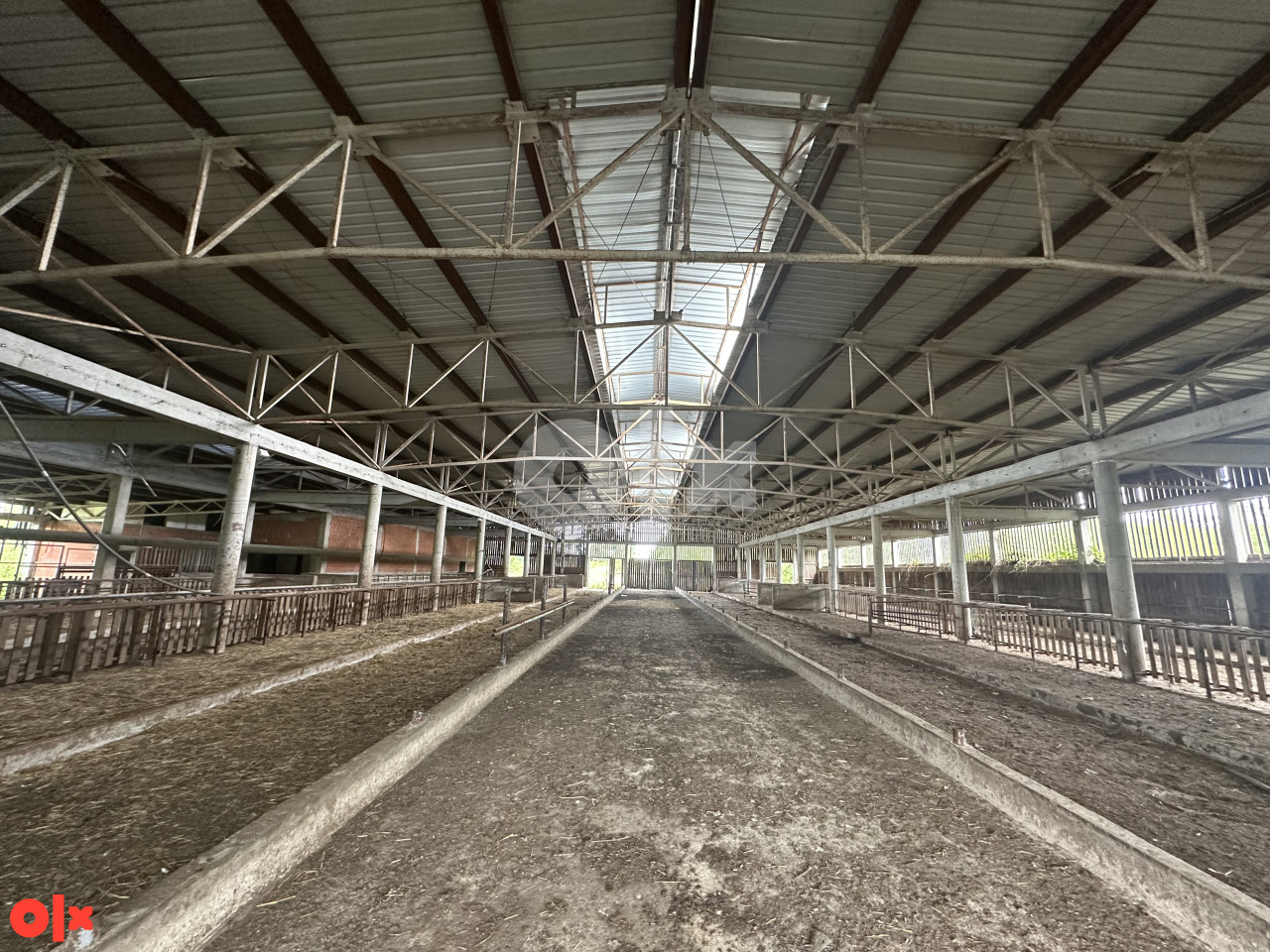 Zemljište i farma Kozarska Dubica Krivdića brdo 4