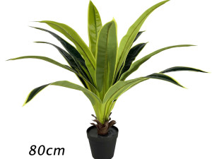 Umjetna biljka Dracaena 80 cm