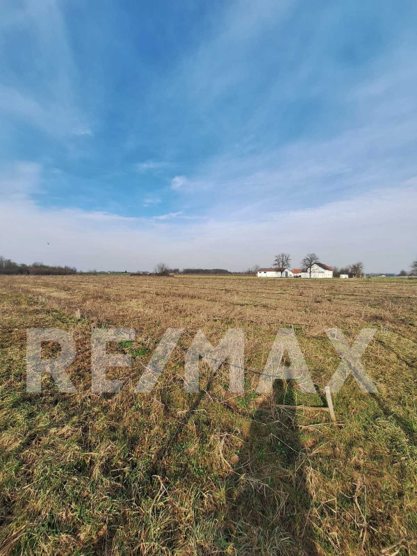 Prodaje se zemljište 14800m2 kod Nove Topole 2