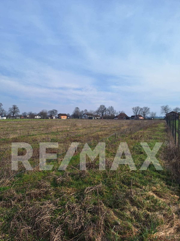 Prodaje se zemljište 14800m2 kod Nove Topole 3
