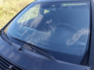 Brisac Mercedes C W203