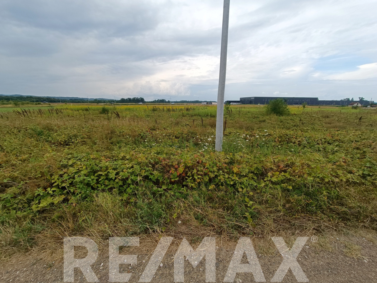 Zemljište Aleksandrovac 2991 m² na 2km od autoputa - Vista 3