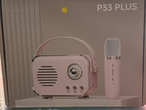 P33 Plus FM RADIO BLUETOOTH ZVUČIK KARAOKE