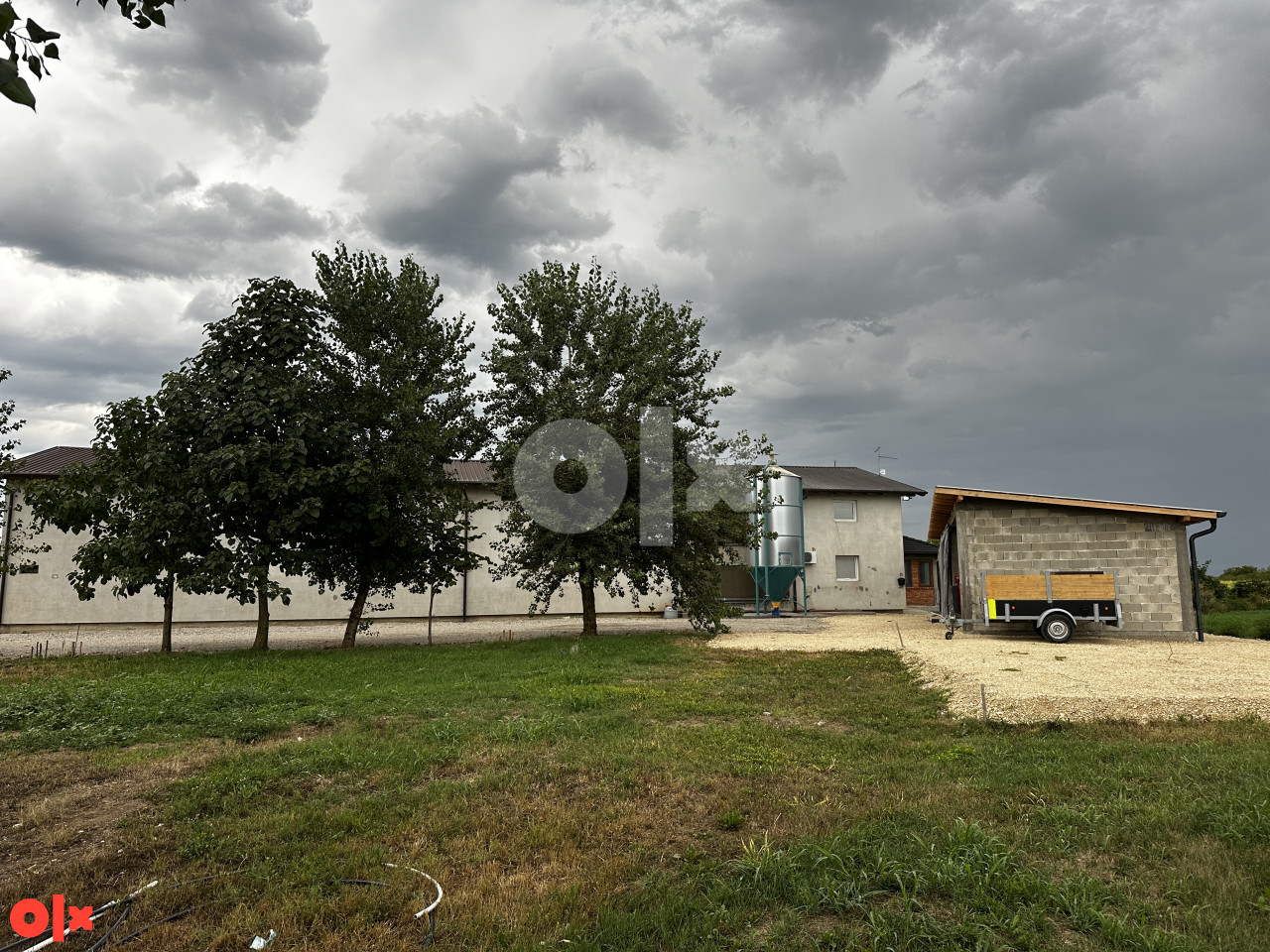 FARMA PILIĆA ZA TOV BROJLERA PILE PILICI 6