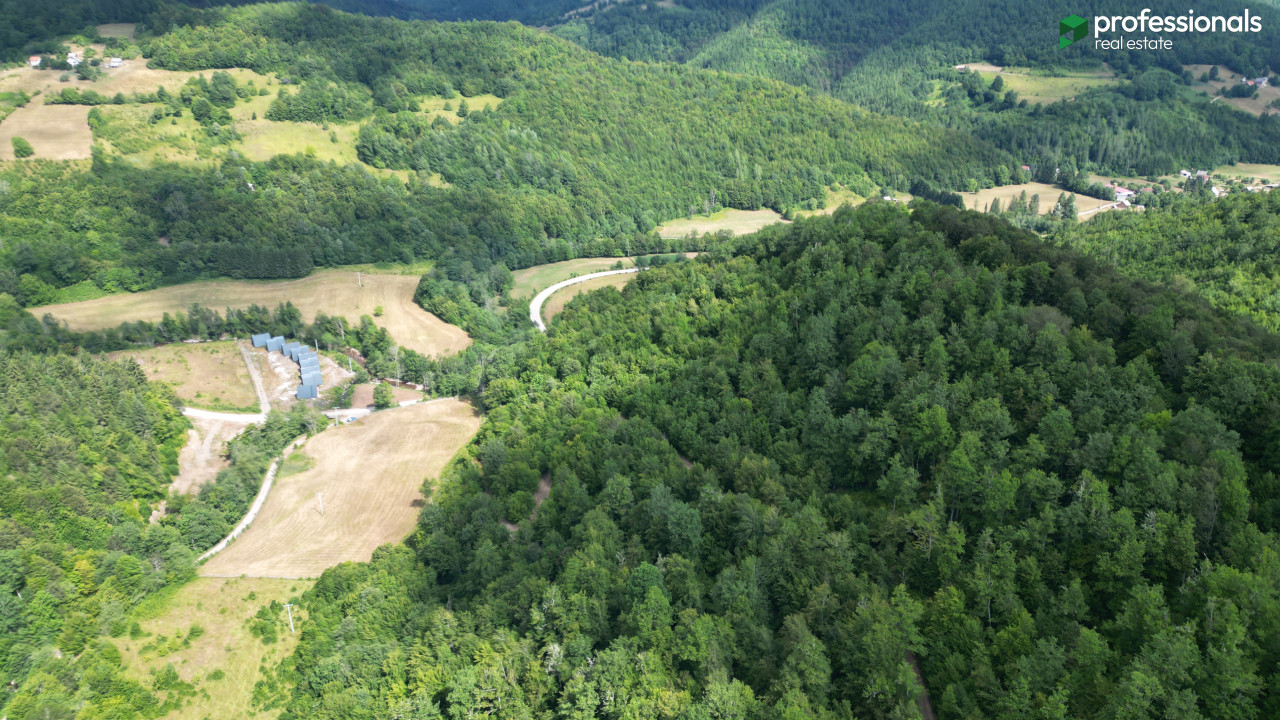 Zemljište Pale Gornja Prača 24030 m2 4