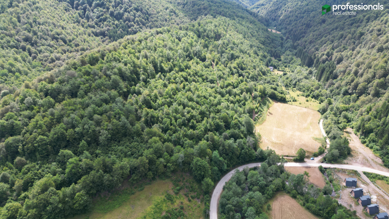 Zemljište Pale Gornja Prača 24030 m2 7
