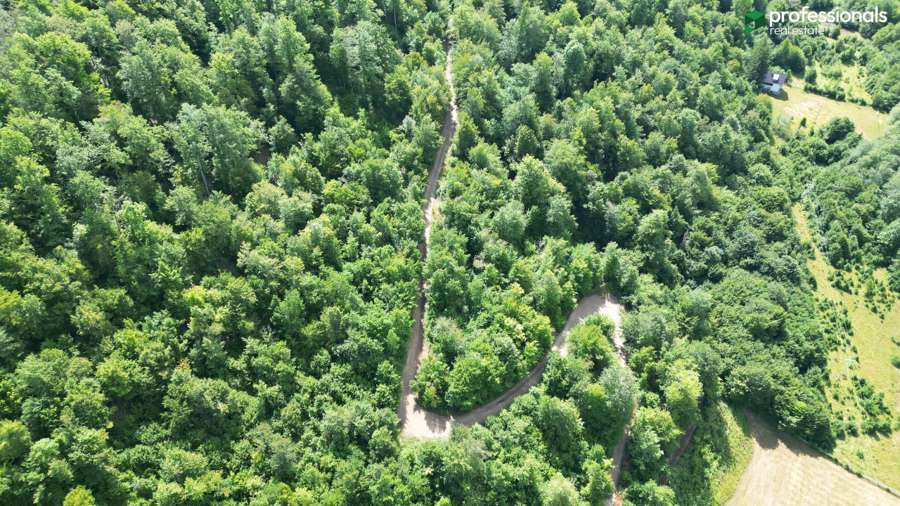 Zemljište Pale Gornja Prača 24030 m2 14