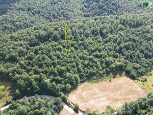 Zemljište Pale Gornja Prača 24030 m2