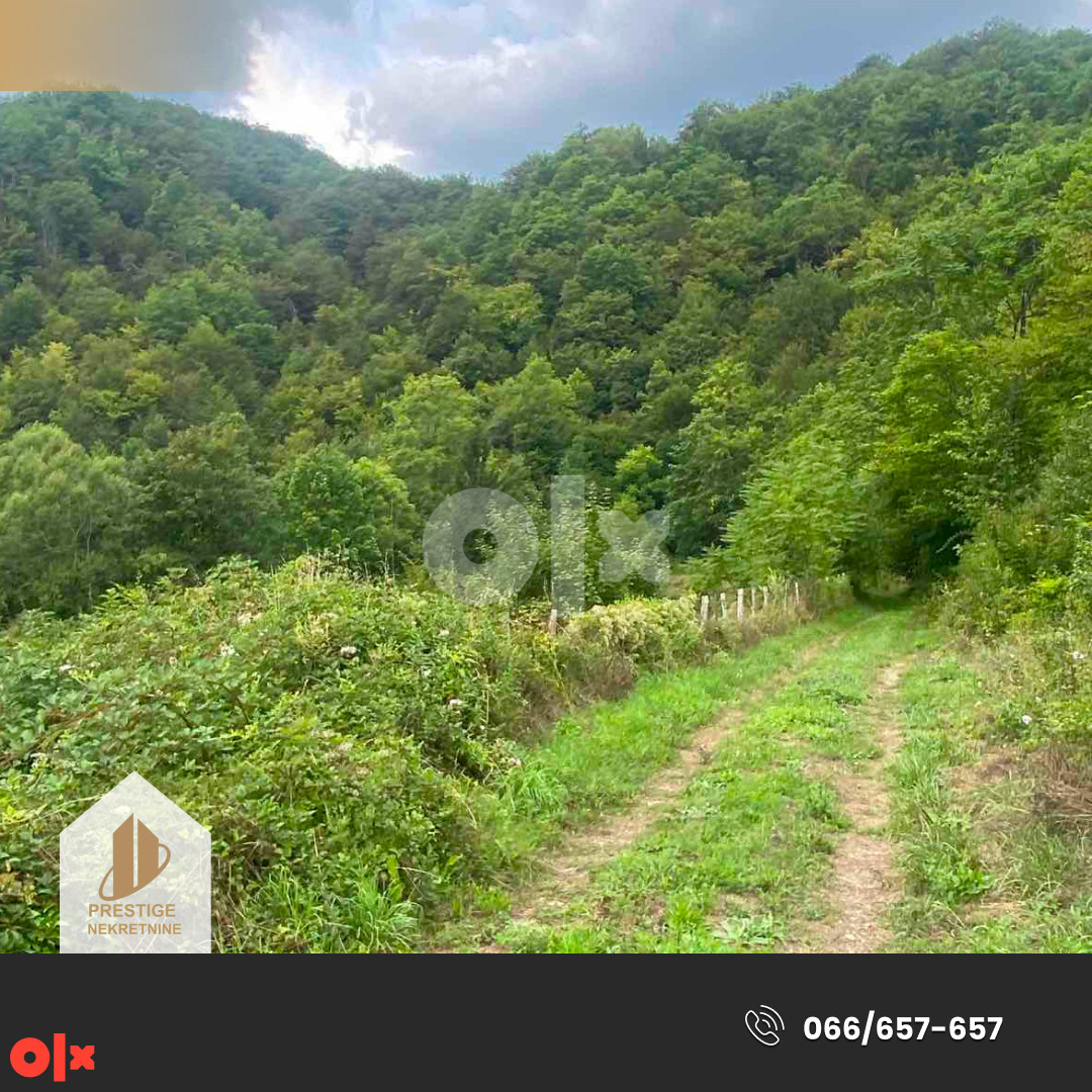 Građevinsko zemljište 3058m2 - Ljubina - Ilijaš 15