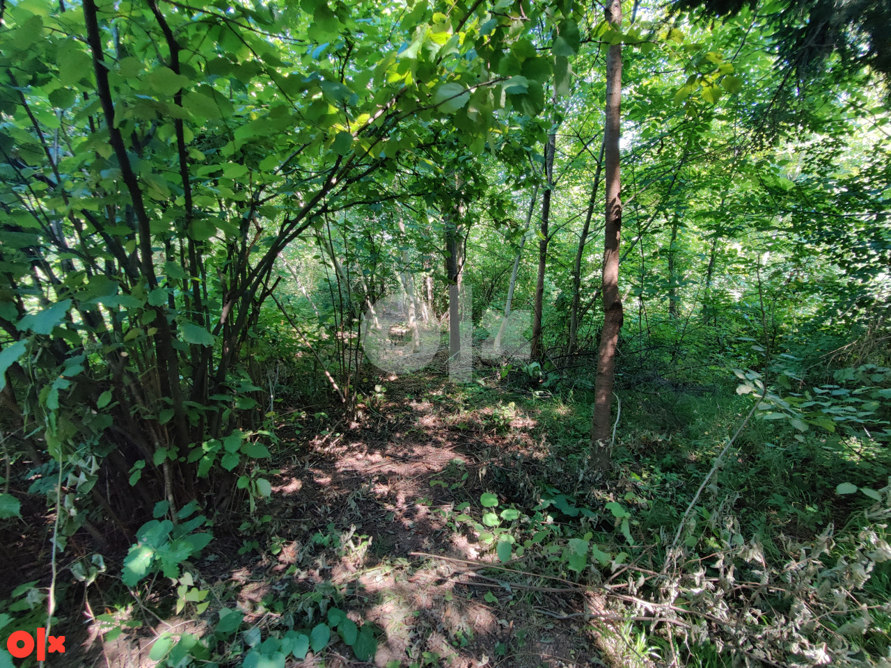 Zemljište Banja Luka, Trla 4