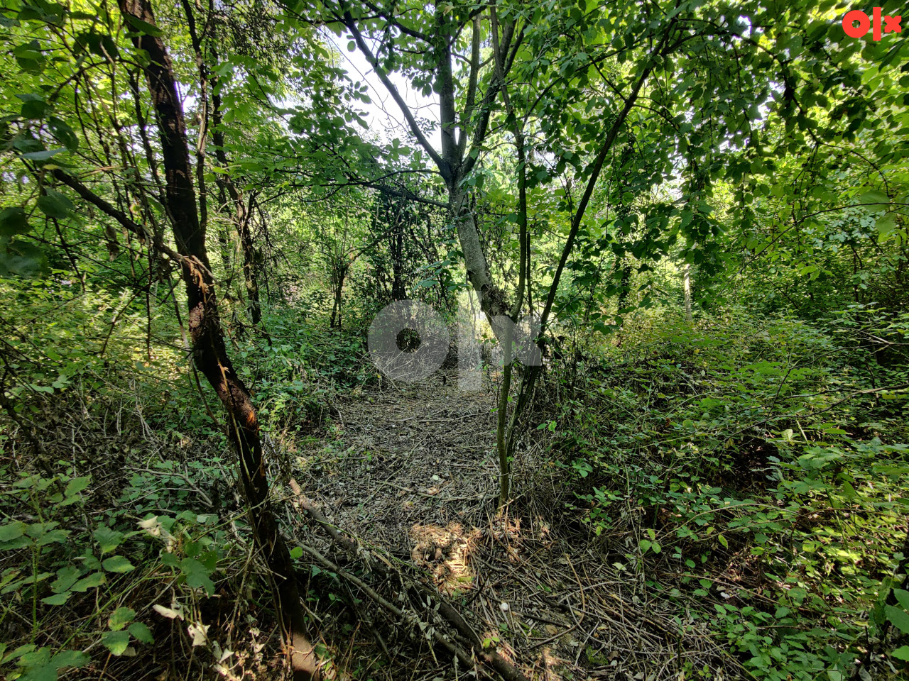 Zemljište Banja Luka, Trla 6