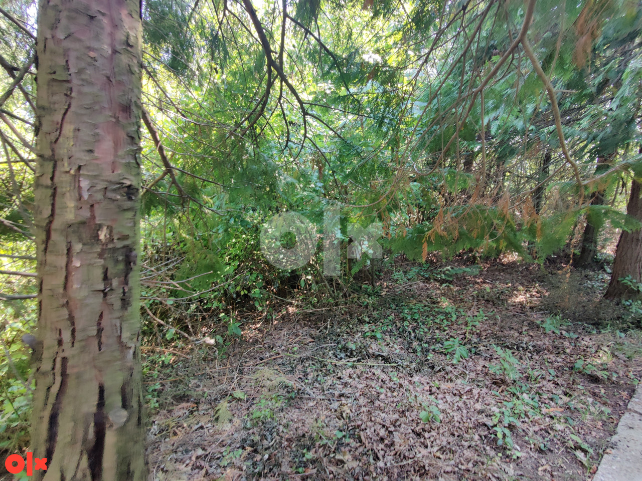 Zemljište Banja Luka, Trla 9